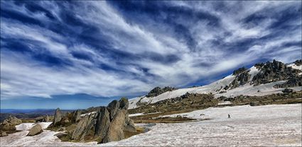 Rams Head Range - Kosciuszko NP - NSW T (PBH4 00 10678)